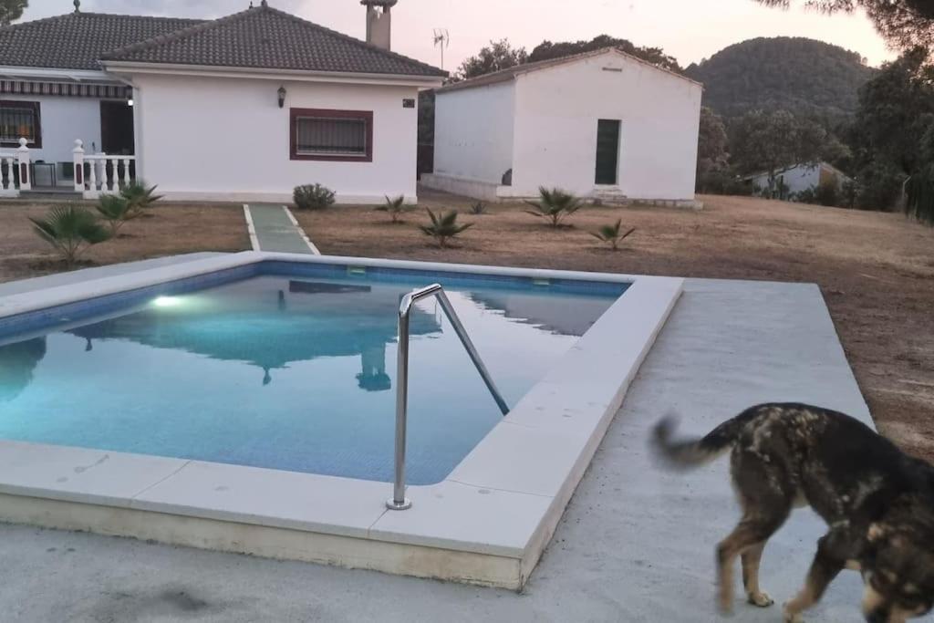 Chalet Con Encanto En Sierra Cordobesa. Wifi Cerro Muriano Exteriör bild